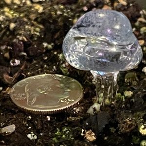 Mushroom Magic